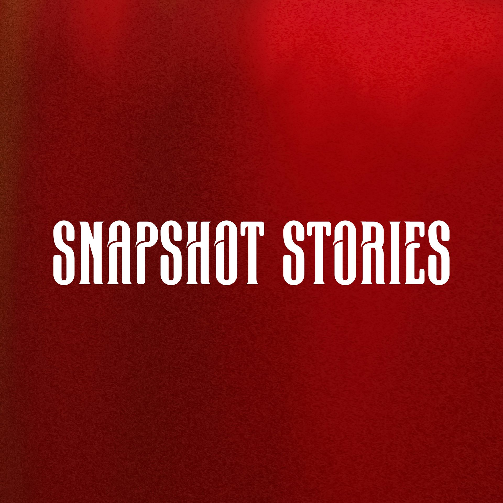 Snapshot Stories